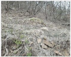  2025Ÿ603  ֱ Ҿ Ȳ 83      (Ӿ)