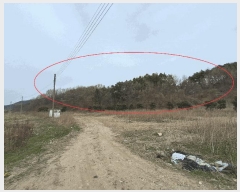  2025Ÿ603  ֱ Ҿ Ȳ 83      (Ӿ)