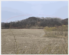  2025Ÿ603  ֱ Ҿ Ȳ 83      (Ӿ)