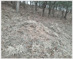  2025Ÿ603  ֱ Ҿ Ȳ 83      (Ӿ)