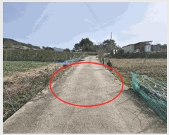  2025Ÿ624  ֱ ȼ  623-4      ڽü