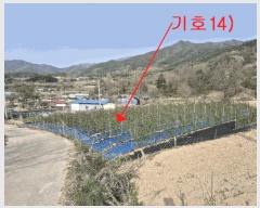  2025Ÿ624  ֱ ȼ  623-4      ڽü