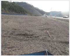  2025Ÿ636  ȱ ɸ ̸ 151      (1)