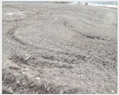  2025Ÿ636  ȱ ɸ ̸ 151      (1)