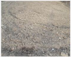  2025Ÿ636  ȱ ɸ ̸ 151      (1)