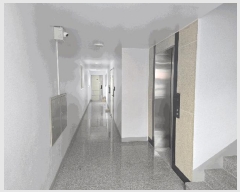  2025Ÿ��677  �ٰ������ð��