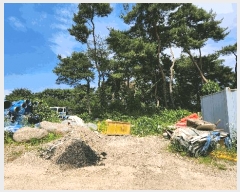  2025Ÿ��733  �ڵ������ýü����