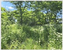  2025Ÿ��733  �ڵ������ýü����