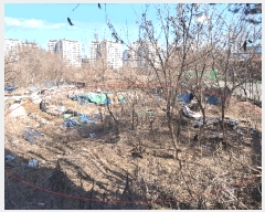  2025Ÿ30869  ֽ ϻ걸 ȿڵ3 855      (1)