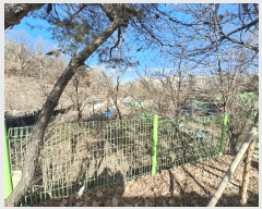  2025Ÿ30869  ֽ ϻ걸 ȿڵ3 855      (1)