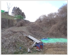  2025Ÿ30869  ֽ ϻ걸 ȿڵ3 855      (1)