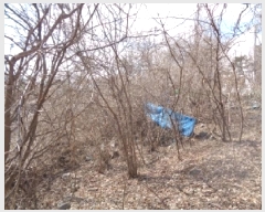  2025Ÿ30869  ֽ ϻ걸 ȿڵ3 855      (1)