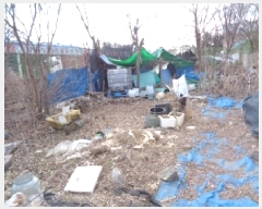  2025Ÿ30869  ֽ ϻ걸 ȿڵ3 855      (1)