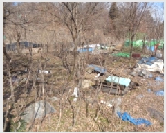  2025Ÿ30869  ֽ ϻ걸 ȿڵ3 855      (1)