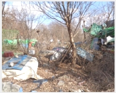  2025Ÿ30869  ֽ ϻ걸 ȿڵ3 855      (1)