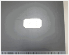  2025Ÿ��31005  �ټ���(����)���