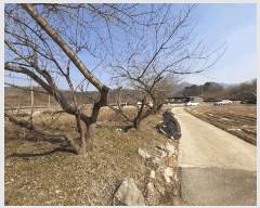  2025Ÿ31021  ȱ  ǳ 1093-1      (1)