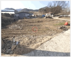  2025Ÿ31021  ȱ  ǳ 1093-1      (1)