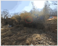  2025Ÿ31021  ȱ  ǳ 1093-1      (1)