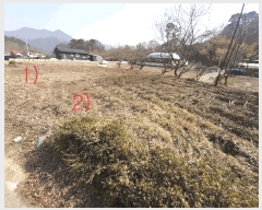  2025Ÿ31021  ȱ  ǳ 1093-1      (1)