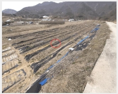  2025Ÿ��31065 ���� ���ȱ� ��õ�� ��Ҹ� 254      ����(��1)���