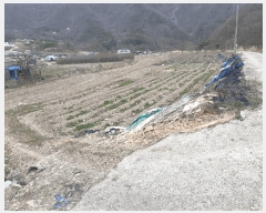  2025Ÿ��31065 ���� ���ȱ� ��õ�� ��Ҹ� 254      ����(��1)���