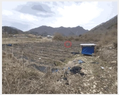  2025Ÿ��31065 ���� ���ȱ� ��õ�� ��Ҹ� 254      ����(��1)���