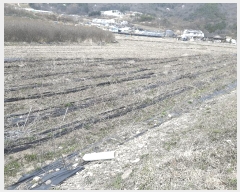  2025Ÿ��31065 ���� ���ȱ� ��õ�� ��Ҹ� 254      ����(��1)���