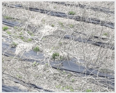  2025Ÿ��31065 ���� ���ȱ� ��õ�� ��Ҹ� 254      ����(��1)���