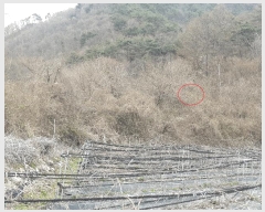  2025Ÿ��31065 ���� ���ȱ� ��õ�� ��Ҹ� 254      ����(��1)���