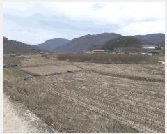  2025Ÿ��31065 ���� ���ȱ� ��õ�� ��Ҹ� 254      ����(��1)���