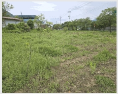  2025Ÿ��31112  ���ð��