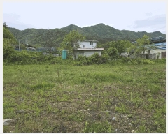  2025Ÿ��31112  ���ð��