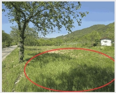  2025Ÿ��31112  ���ð��