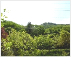  2025Ÿ��31191 ���� ���ֱ� ����� �ſ��� ��59-24      ����(�Ӿ�)���