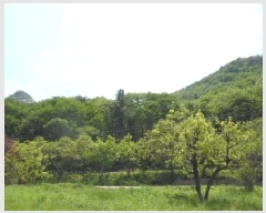  2025Ÿ��31191 ���� ���ֱ� ����� �ſ��� ��59-24      ����(�Ӿ�)���