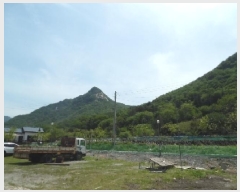  2025Ÿ��31191 ���� ���ֱ� ����� �ſ��� ��59-24      ����(�Ӿ�)���