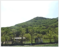  2025Ÿ��31191 ���� ���ֱ� ����� �ſ��� ��59-24      ����(�Ӿ�)���