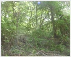  2025Ÿ��31191 ���� ���ֱ� ����� �ſ��� ��59-24      ����(�Ӿ�)���