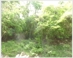  2025Ÿ��31191 ���� ���ֱ� ����� �ſ��� ��59-24      ����(�Ӿ�)���