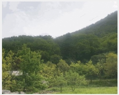  2025Ÿ��31191 ���� ���ֱ� ����� �ſ��� ��59-24      ����(�Ӿ�)���