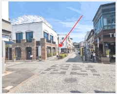  2025Ÿ��31281  ��������