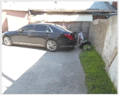  2025Ÿ��31281  ��������