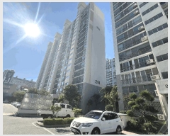  2025Ÿ��31319  ����Ʈ���