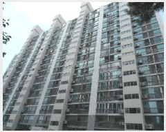  2025Ÿ��31319  ����Ʈ���