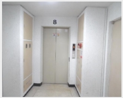  2025Ÿ��31319  ����Ʈ���