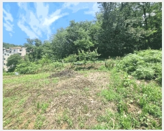  2025Ÿ31322  ֽ ϻ걸 ȭ굿2 274-19      ,â