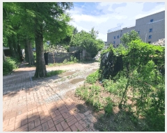  2025Ÿ��31322  �Ӿ߰��