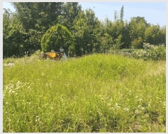  2025Ÿ��31334  ����