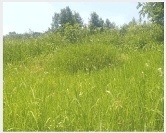  2025Ÿ��31334  ����